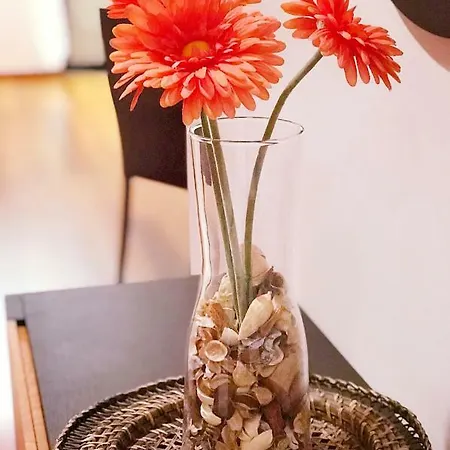 Luxury In Apartamento